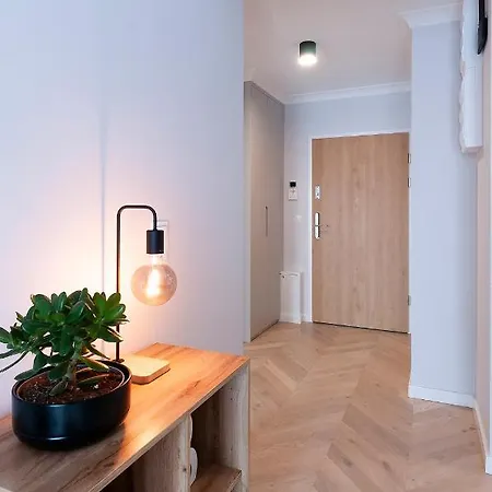 Apartment Komfortowy Apartament W Centrum Miasta. *